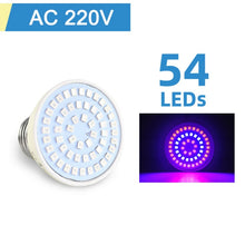 Load image into Gallery viewer, Plant Growth Flower LED Flood Light 50W AC 220V  LED Plant led lamp Plant Spotlight Greenhouse Plant Hydroponics  Growth Light