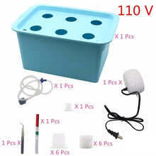Laad afbeelding in Galerijviewer, <transcy>6 Gaten Plant Site Hydrocultuur Tuin Potten Plantenbakken Systeem Indoor Tuin Kast Doos Grow Kit Bubble Kwekerij Potten 220 V/110 V 1 Set</transcy>