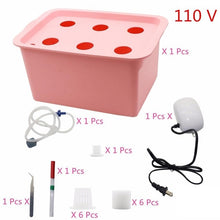 Laad afbeelding in Galerijviewer, <transcy>6 Gaten Plant Site Hydrocultuur Tuin Potten Plantenbakken Systeem Indoor Tuin Kast Doos Grow Kit Bubble Kwekerij Potten 220 V/110 V 1 Set</transcy>