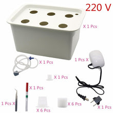 Laad afbeelding in Galerijviewer, <transcy>6 Gaten Plant Site Hydrocultuur Tuin Potten Plantenbakken Systeem Indoor Tuin Kast Doos Grow Kit Bubble Kwekerij Potten 220 V/110 V 1 Set</transcy>