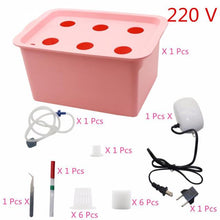 Laad afbeelding in Galerijviewer, <transcy>6 Gaten Plant Site Hydrocultuur Tuin Potten Plantenbakken Systeem Indoor Tuin Kast Doos Grow Kit Bubble Kwekerij Potten 220 V/110 V 1 Set</transcy>