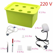 Laad afbeelding in Galerijviewer, <transcy>6 Gaten Plant Site Hydrocultuur Tuin Potten Plantenbakken Systeem Indoor Tuin Kast Doos Grow Kit Bubble Kwekerij Potten 220 V/110 V 1 Set</transcy>