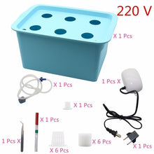 Laad afbeelding in Galerijviewer, <transcy>6 Gaten Plant Site Hydrocultuur Tuin Potten Plantenbakken Systeem Indoor Tuin Kast Doos Grow Kit Bubble Kwekerij Potten 220 V/110 V 1 Set</transcy>
