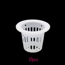 Laad afbeelding in Galerijviewer, <transcy>Grondloze Hydrocultuur Groenten Kwekerij Potten Kwekerij Spons Bloem Zaad Teelt Grondloos Teelt Systeem Zaad Trays</transcy>