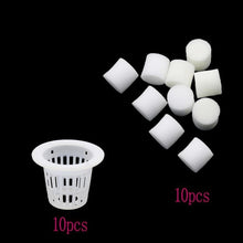 Laad afbeelding in Galerijviewer, <transcy>Grondloze Hydrocultuur Groenten Kwekerij Potten Kwekerij Spons Bloem Zaad Teelt Grondloos Teelt Systeem Zaad Trays</transcy>