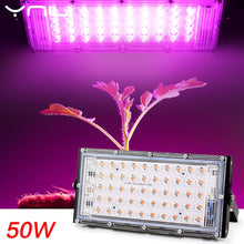 Load image into Gallery viewer, LED Grow Light Phyto Lamp AC 220V 50W LED Full Spectrum Floodlight Indoor Outdoor Greenhouse Plant Hydroponic Plant Spotlight