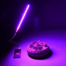 Laad afbeelding in Galerijviewer, <transcy>Voor Hydrocultuur Systeem Kas USB LED Plant Groeiende Lamp 5V 3W Volledige Spectrum Lichten Zilverachtige Body Groene plant CE Grow Led</transcy>