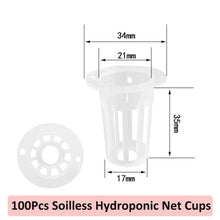 Load image into Gallery viewer, 100/50/20*Netpot 35-50mm Vegetable Net Cups Pot Slotted Mesh Soilless Culture For Hydroponics/Aquaponics/Orchids Planter Plastic