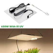 Laad afbeelding in Galerijviewer, <transcy>Samsung LM281B Quantum LED Licht Groeien UV & IR Chip 650W Full Spectrum Phyto Lamp voor Kamerplanten Veg Bloemen Hydrocultuur Systeem</transcy>