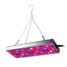 Laad afbeelding in Galerijviewer, <transcy>Rood Blauw Wit IR UV Led Grow Light Panel 45W 25W Led Grow Light Full Spectrum Fitolampy Voor Kamerplanten Kas Hydrocultuur</transcy>