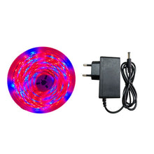 Load image into Gallery viewer, Phyto LED Plant Growth Light Full Spectrum Hydroponic LED Strip Diode Tape Dimmable 2835 for Seeding Plants Flowers Greenhouses