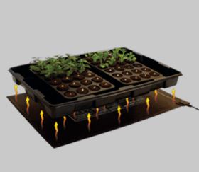 Rootit medium Propagator Heat Mat