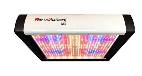 Revolution Avici 1150w Led Grow Light