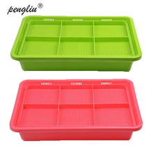 Load image into Gallery viewer, Hydroponics Seed Germination Tray Seedling Tray Sprout Plate Grow Nursery Pots Tray Vegetable Seedling Pot Plastic Nursery Tray
