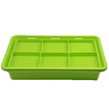 Load image into Gallery viewer, Hydroponics Seed Germination Tray Seedling Tray Sprout Plate Grow Nursery Pots Tray Vegetable Seedling Pot Plastic Nursery Tray
