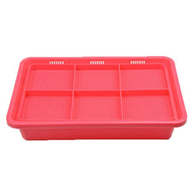 Load image into Gallery viewer, Hydroponics Seed Germination Tray Seedling Tray Sprout Plate Grow Nursery Pots Tray Vegetable Seedling Pot Plastic Nursery Tray
