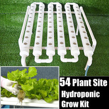 Load image into Gallery viewer, 54 Holes Hydroponic Piping Site Grow Kit Deep Water Culture Planting Box Gardening System Nursery Pot Hydroponic Rack 220V
