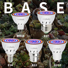 Laad afbeelding in Galerijviewer, &lt;transcy&gt;Phyto Led B22 Hydrocultuur Groei Licht E27 Led Grow Bulb MR16 Volledige Spectrum 220V UV Lamp Plant E14 Bloem Zaailing Fitolamp GU10&lt;/transcy&gt;
