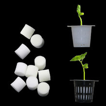 Load image into Gallery viewer, Soilless Hydroponic Vegetables Nursery Pots Nursery Sponge Flower Seed Cultivation Soilless Cultivation System Seed Trays
