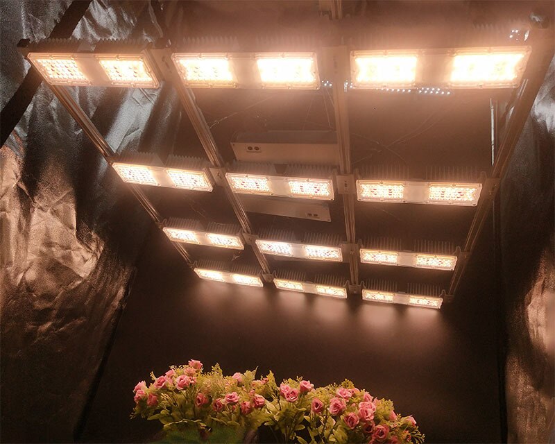 Shenzhen customized full spectrum uv ir 16 modules 800w high ppfd led grow light for medical plants