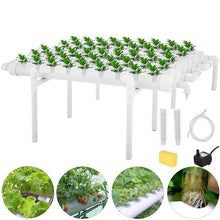 Load image into Gallery viewer, 54 Holes Hydroponic Piping Site Grow Kit Deep Water Culture Planting Box Gardening System Nursery Pot Hydroponic Rack 220V
