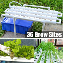 Load image into Gallery viewer, 54 Holes Hydroponic Piping Site Grow Kit Deep Water Culture Planting Box Gardening System Nursery Pot Hydroponic Rack 220V
