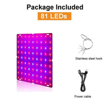 Load image into Gallery viewer, 81/169 LEDs 2000W 3000W Indoor LED Grow Light Plant Growing Lamp Red Blue Full Spectrum For Indoor Hydroponic Plant
