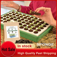 Load image into Gallery viewer, 5/20/50pcs Rockwool Plant Starter Grow Plug Cubes for Garden Greenhouse Orchard Sun Room Hydroponic Applications 20 * 20 * 40mm
