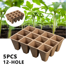 Load image into Gallery viewer, 5Pcs Hydroponics Seed Germination Seedling Sprout Plant Grow Pots Vegetable Planting Pot Nursery Tray For Plants Garden Tools
