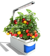 <transcy>Volledige Spectrum Multifunctionele Smart Tuin Indoor Licht Groeien Bloem Hydrocultuur Indoor Kruidentuin Kit Tent Box Plant Lamp</transcy>