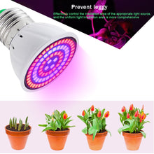 Load image into Gallery viewer, Phyto Led Hydroponic Growth Light E27 Led Grow Bulb Full Spectrum 220V UV Lamp Plant E14 for plant Flower Seedling Fitolamp
