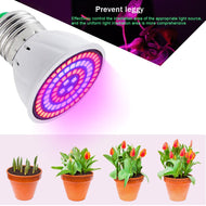 Phyto Led Hydroponic Growth Light E27 Led Grow Bulb Full Spectrum 220V UV Lamp Plant E14 for plant Flower Seedling Fitolamp