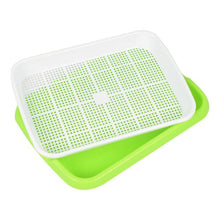 Load image into Gallery viewer, Hydroponic Seedling Sprouting Tray Flower Basket Double-seedling Layer Plastic Plant Sprouting Tray Box Sprout Micro-greenery Tr
