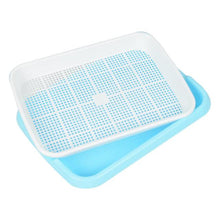 Load image into Gallery viewer, Hydroponic Seedling Sprouting Tray Flower Basket Double-seedling Layer Plastic Plant Sprouting Tray Box Sprout Micro-greenery Tr
