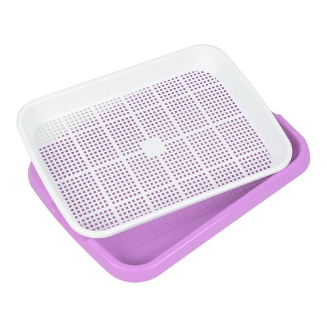 Hydroponic Seedling Sprouting Tray Flower Basket Double-seedling Layer Plastic Plant Sprouting Tray Box Sprout Micro-greenery Tr