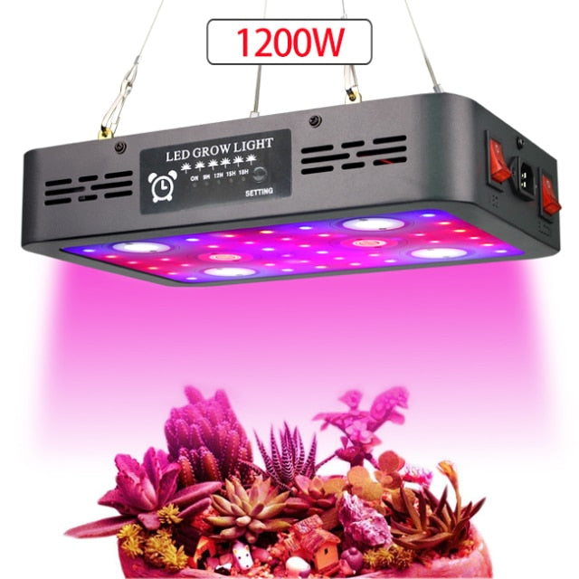 Full Spectrum Phytolamp for plants 2400W Cob LED Grow Light Grow Lamp for Indoor Plant Flowering Seeding Hydroponics stytem