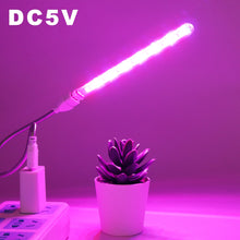 Laad afbeelding in Galerijviewer, &lt;transcy&gt;DC5V LED Plant Groeiende lamp 21LEDs USB Draagbare LED Kweeklampen Volledige Spectrum LED Phyto Groei Licht voor vetplant&lt;/transcy&gt;
