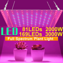 Load image into Gallery viewer, 81/169 LEDs 2000W 3000W Indoor LED Grow Light Plant Growing Lamp Red Blue Full Spectrum For Indoor Hydroponic Plant
