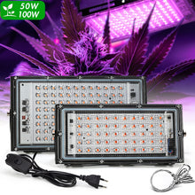 Load image into Gallery viewer, LED Grow Light Full Spectrum Light 220V 50W 100W With EU Plug Led Grow lamps For Greenhouse Hydroponic Flower Seeding Phyto Lamp
