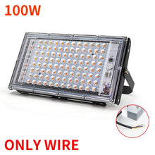 Load image into Gallery viewer, LED Grow Light Full Spectrum Light 220V 50W 100W With EU Plug Led Grow lamps For Greenhouse Hydroponic Flower Seeding Phyto Lamp
