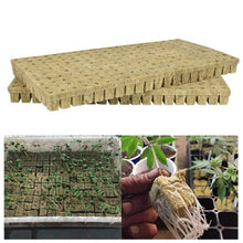 Load image into Gallery viewer, 2Pcs Hydroponics Seed Seedling Grow Blocks Culture Base Medium Soilless Planting
