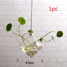 Load image into Gallery viewer, 10Pcs Mesh Pot Net Cup Basket Hydroponic System Garden Plant Grow Vegetable Cloning Foam Insert Seed Germinate Nursery Pots
