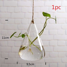 Load image into Gallery viewer, 10Pcs Mesh Pot Net Cup Basket Hydroponic System Garden Plant Grow Vegetable Cloning Foam Insert Seed Germinate Nursery Pots
