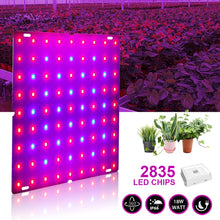 Laad afbeelding in Galerijviewer, &lt;transcy&gt;Volledige Spectrum LED Licht Groeien Groei Verlichting Hydrocultuur Plant Lamp 265V Phytolamp Voor Planten SMD2835 Lamp Kralen Quantum Board&lt;/transcy&gt;
