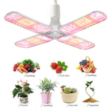 Load image into Gallery viewer, 120/180/240W LED Grow Lamp Foldable Full Spectrum LED Plant Growth Lamp Indoor Grow Lights E27 Hydroponic Plants Grow Light
