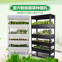 Load image into Gallery viewer, Intelligent Vegetable Growing Machine Household Hydroponic Equipment Soilless Cultivation Plant Box Automation Multi-layer Rack
