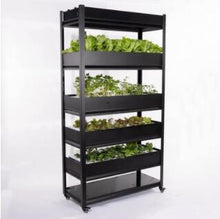 Load image into Gallery viewer, Intelligent Vegetable Growing Machine Household Hydroponic Equipment Soilless Cultivation Plant Box Automation Multi-layer Rack
