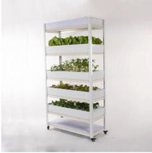 Load image into Gallery viewer, Intelligent Vegetable Growing Machine Household Hydroponic Equipment Soilless Cultivation Plant Box Automation Multi-layer Rack
