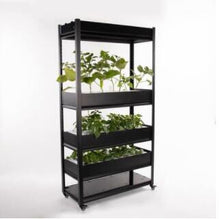 Load image into Gallery viewer, Intelligent Vegetable Growing Machine Household Hydroponic Equipment Soilless Cultivation Plant Box Automation Multi-layer Rack
