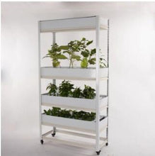 Load image into Gallery viewer, Intelligent Vegetable Growing Machine Household Hydroponic Equipment Soilless Cultivation Plant Box Automation Multi-layer Rack
